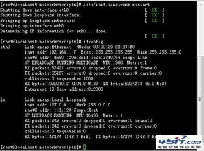 电脑软硬件应用网 全面解析计算机软硬件的实用指南